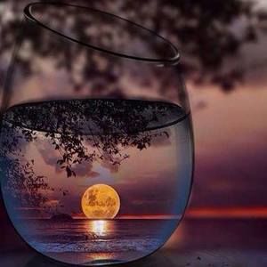 Meet your Posher, Briana